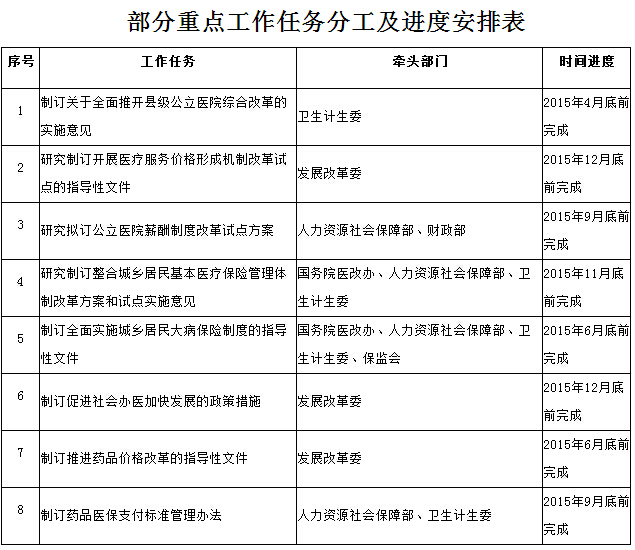 部分重點工作任務(wù)分工及進度安排表