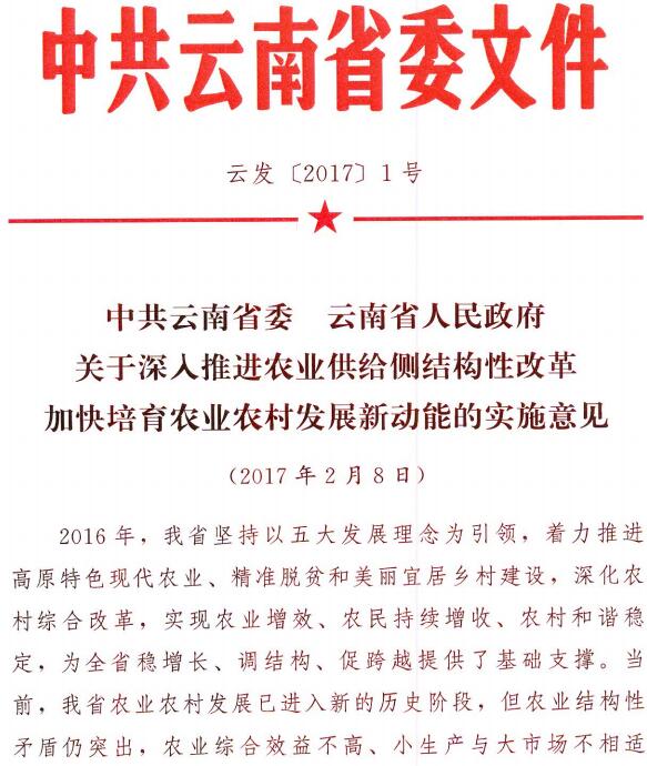 云發(fā)〔2017〕1號《中共云南省委云南省人民政府關(guān)于深入推進(jìn)農(nóng)業(yè)供給側(cè)結(jié)構(gòu)性改革加快培育農(nóng)業(yè)農(nóng)村發(fā)展新動能的實施意見》